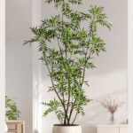 Cây hoàng liên nhiều nhánh giả