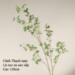 Cành thạch nam giả