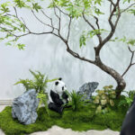 Thảm rêu trang trí cây và tiểu cảnh