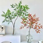 Cành thiên trúc giả