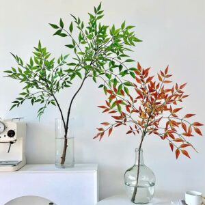 Cành thiên trúc giả