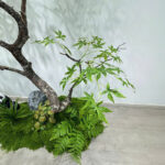 Thảm rêu trang trí cây và tiểu cảnh