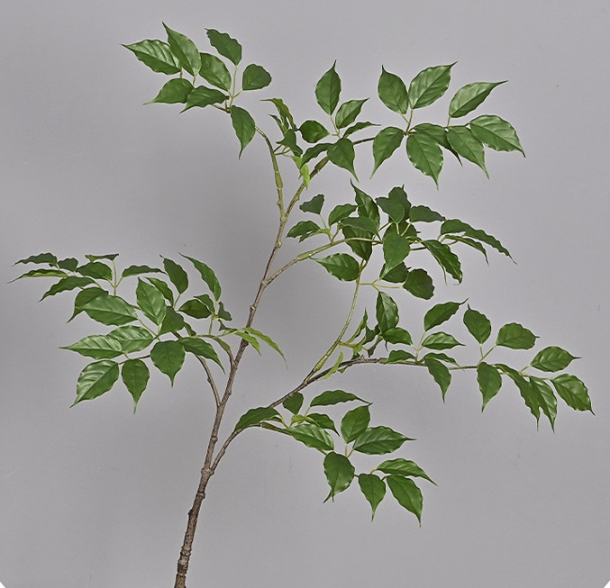 Cành hạnh phúc giả