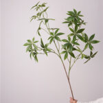 Cành kim ngân giả