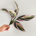 Cây giả nhỏ để bàn - trang trí tiểu cảnh