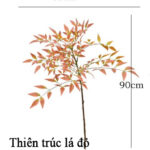 Cành thiên trúc giả