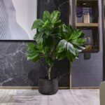 Cây sơn trà giả cao cấp