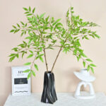 Cành thiên trúc giả