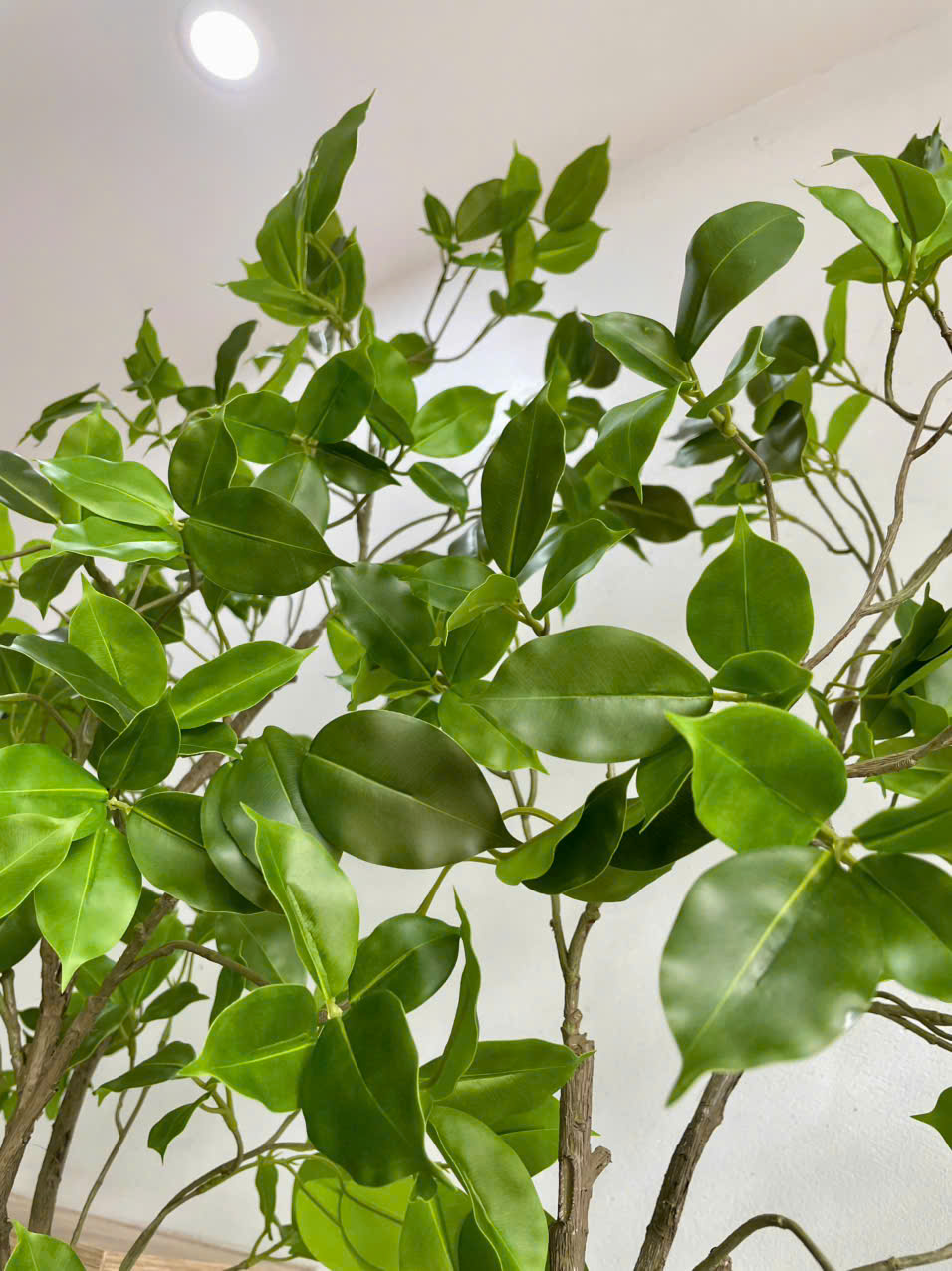 Cây si giả trang trí