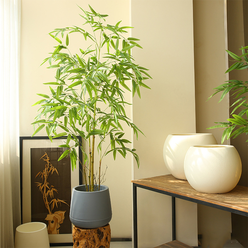 Chậu nhựa trồng cây cao cấp