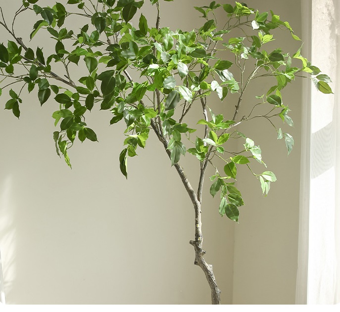 Cây si giả trang trí