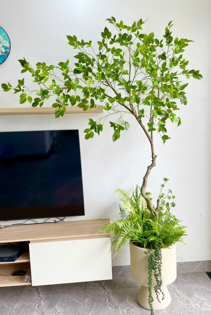 Cây si giả trang trí