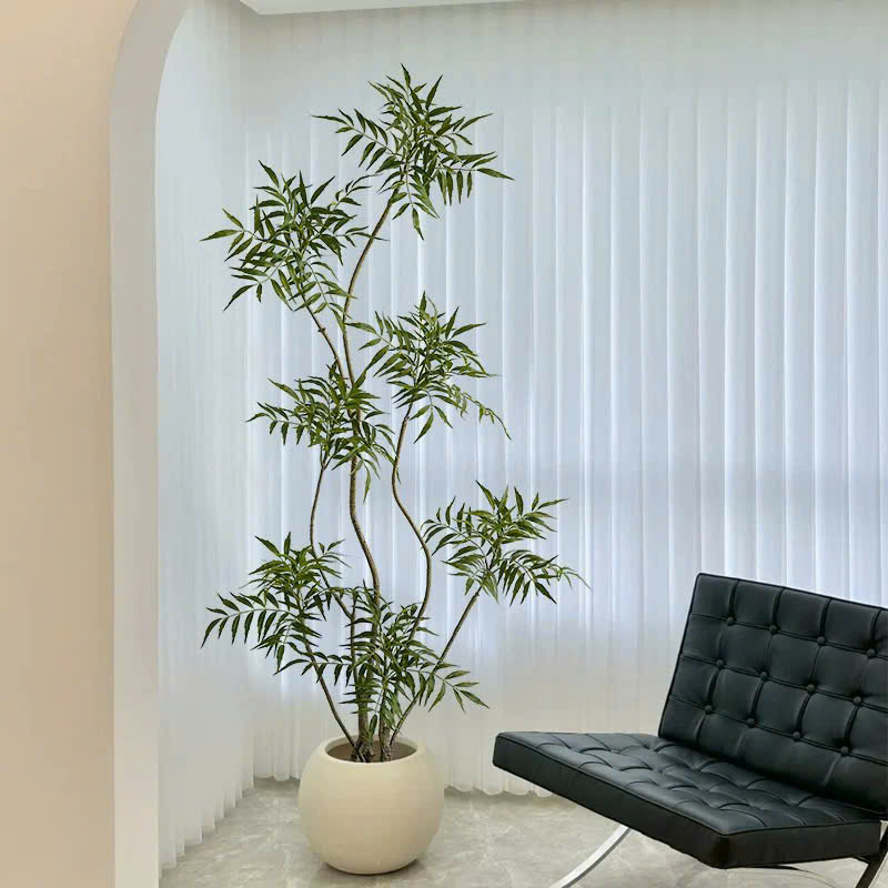 Cây thiên trúc giả dáng cao thanh mảnh, tán lá xanh mát – điểm nhấn decor tinh tế cho mọi không gian